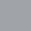 Silver preview swatch