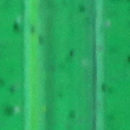 Green preview swatch