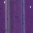 Purple preview swatch